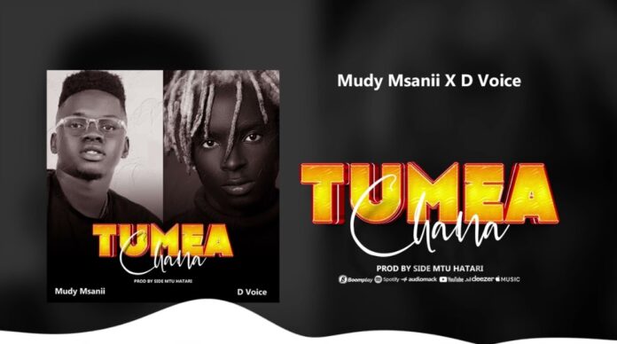 Mudy Msanii Ft D Voice – Tumeachana Mp3 Download
